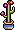 Prickly Cactus