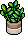 Mivi 23 Plant 01