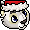 Christmas Kougra