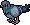 Nyc C23 Citypigeons
