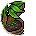 Nymphe R Plante2