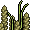 Orge Awhey Wibbo