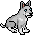 Perro Blanco