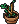 Petites Plantes2 Frogg