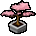 Pink Bonzai