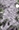 Plant Rhino