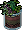 Plante3 Frogg