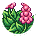 Plante Color