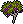 Grape Vines