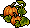 Pumpkin Vines