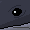 Seven Bluewhale
