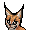 Seven Caracal