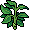 Simsek 22 Plant 01 01