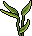 Simsek 22 Plant 04 01