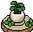Potted Plant