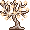 Stellar R23 Startree