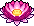 Sum C16 Flower