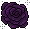 Teschietto 2023 Wednesdayrose