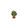 Tiger Plant