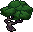 Val15 Bonsaiplant