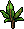 Yummy 22 Plant 01 01
